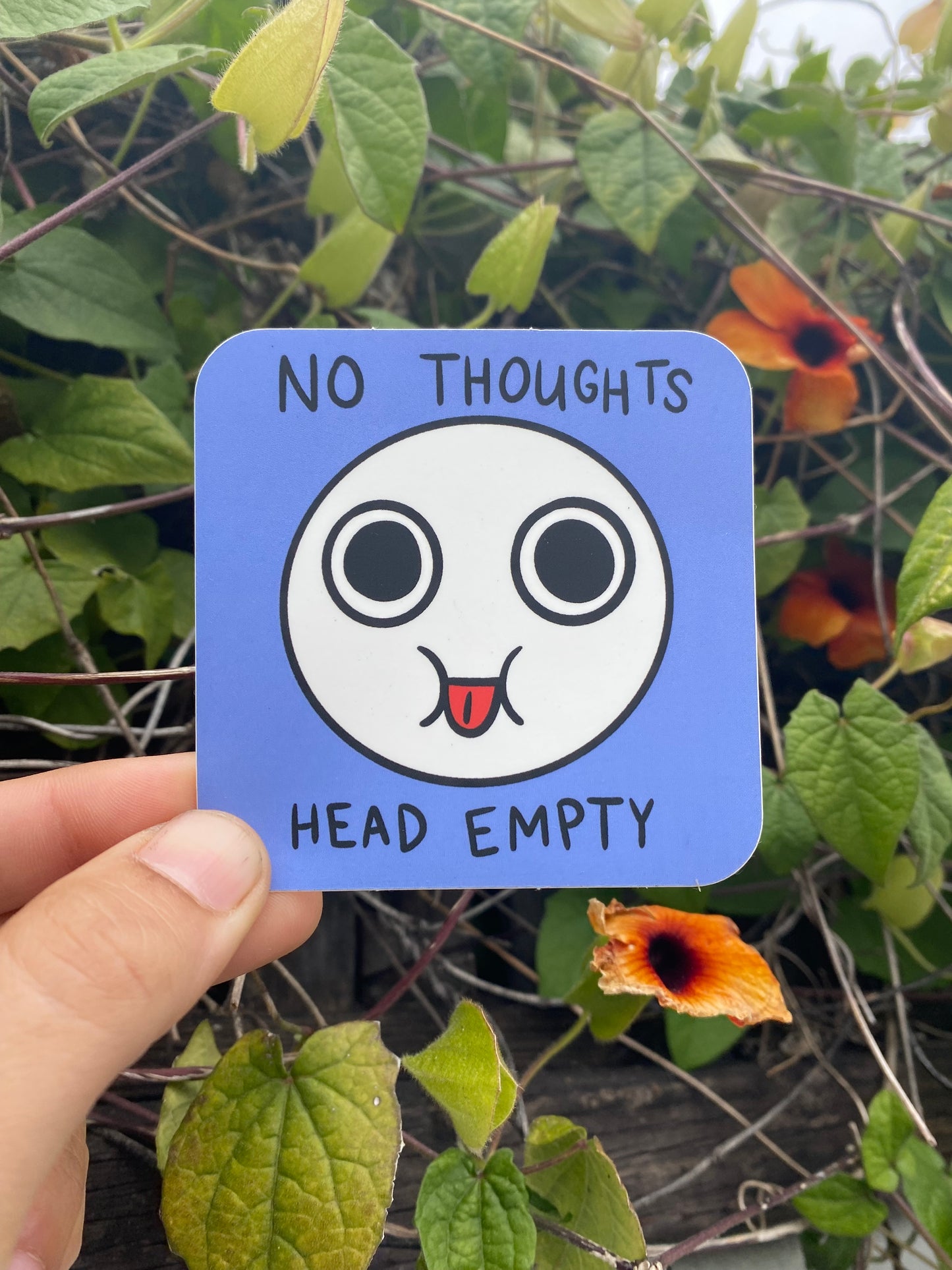 No Thoughts Head Empty Sticker