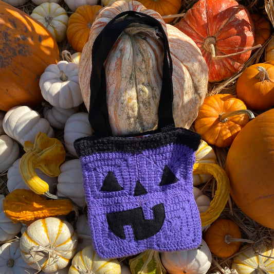 Purple Mini Pumpkin Tote