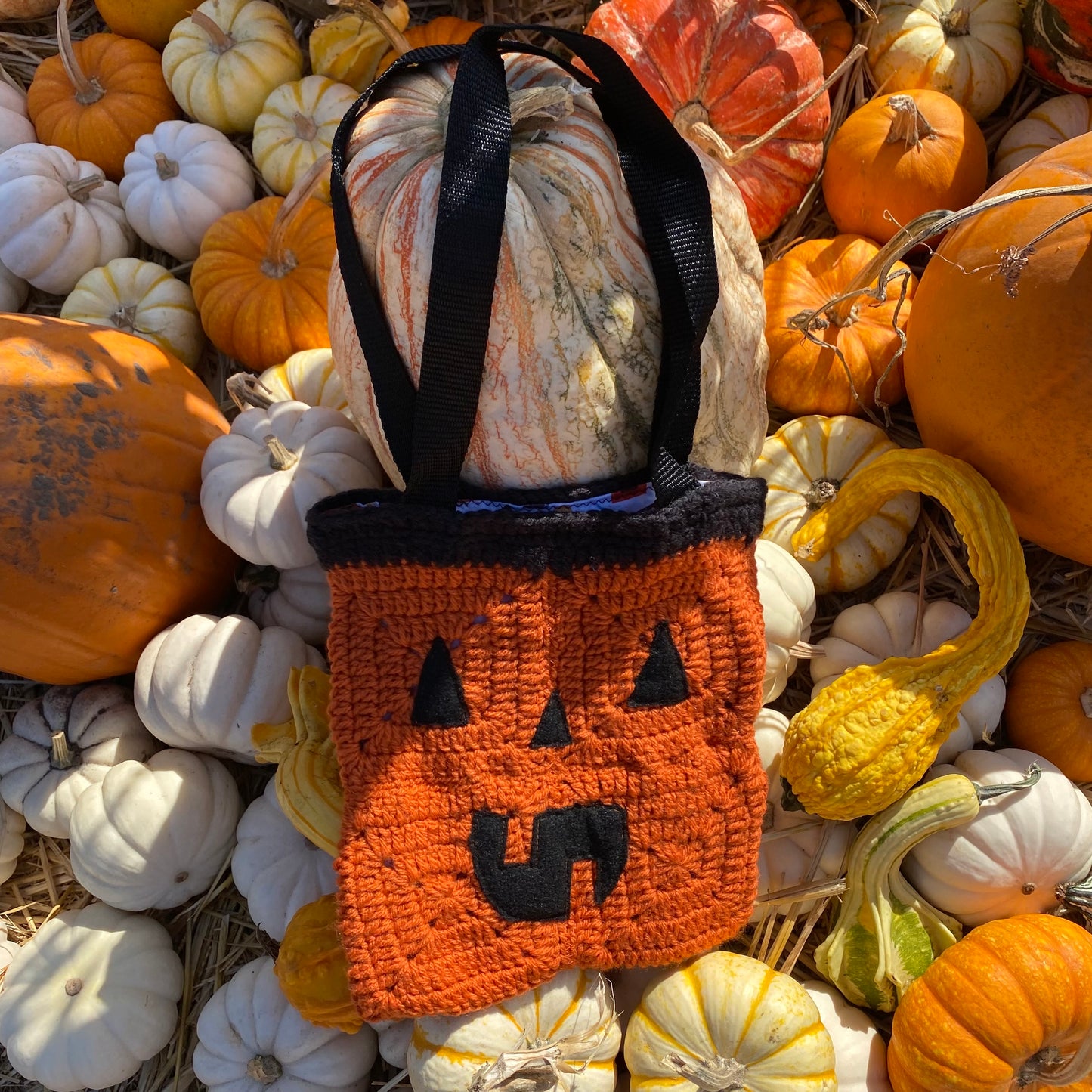 Orange Pumpkin Mini Tote