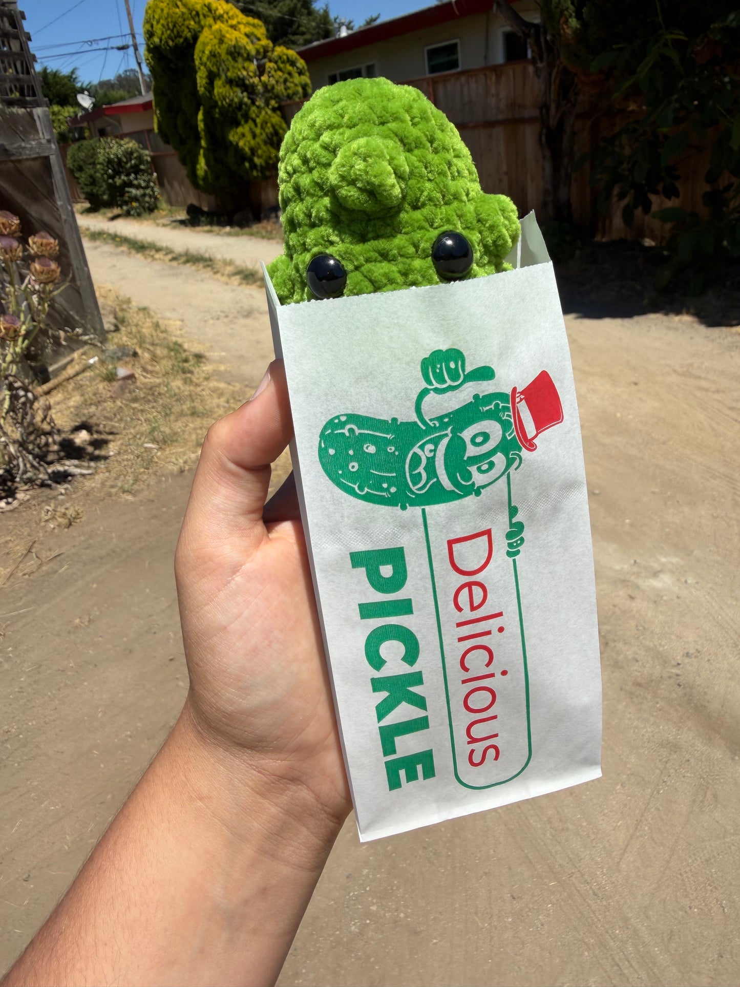 Pickle Plushie